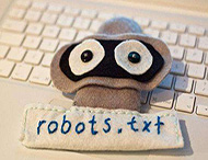鄭州網(wǎng)站建設(shè)：Robots在SEO中的作用是什么？