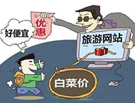 農(nóng)村旅游網(wǎng)站建設(shè)及用戶體驗(yàn)度的提高？